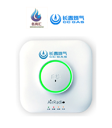 必发888报警器（自然气）